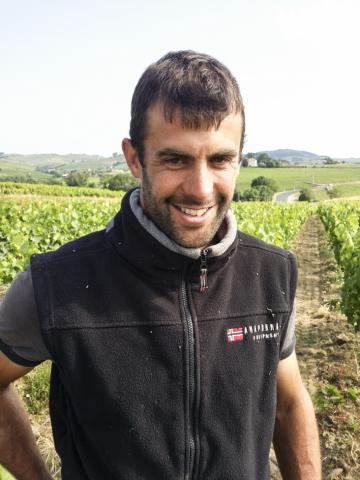 At Domaine des Marrans